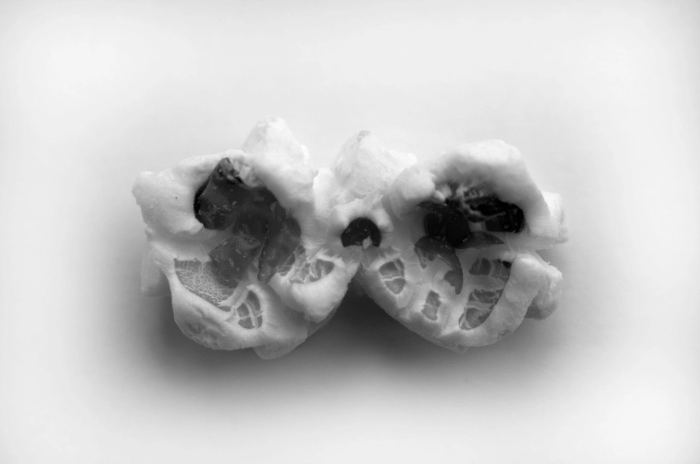 A book of popcorns